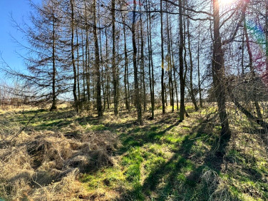 Działka budowlana Łuków Śląski