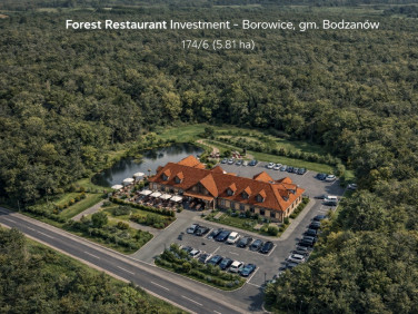 Działka inna Borowice