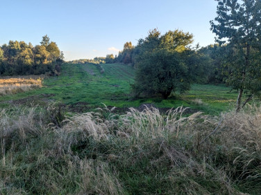 Działka przemysłowa Bodzanów