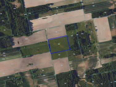 Działka rolna Malinniki