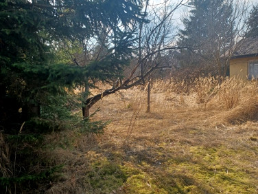 Działka budowlana Głosków