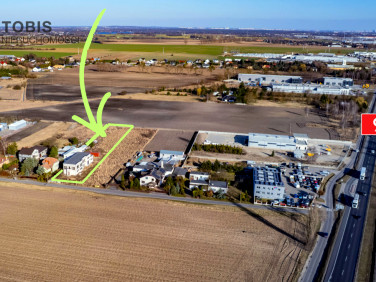 Lokal Tarnowo Podgórne