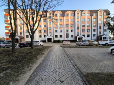 Mieszkanie Kolno sprzedaż