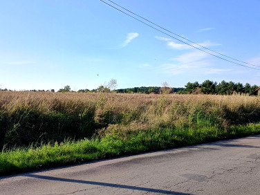 Działka budowlana Mościsko