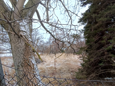 Działka budowlana Pieszyce