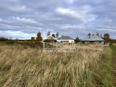 Działka Niedźwiedź