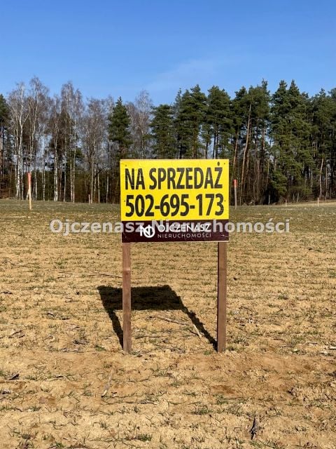 Zdjęcie 2