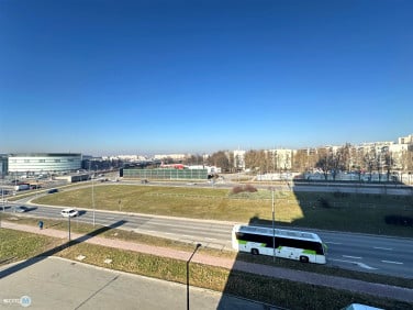 Lokal Kielce