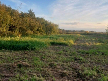 Działka budowlana Malin