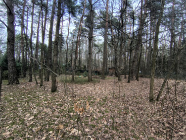 Ogrodzona działka sprzedam