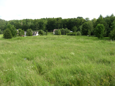 Działka budowlana Dąbrowica