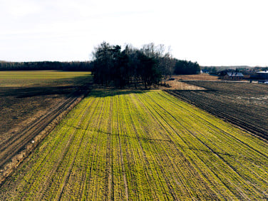 Działka Nowy Bedoń