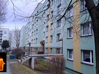 Mieszkanie Bielsko-Biała