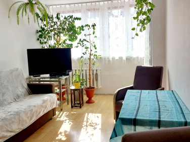 Mieszkanie Oleśnica