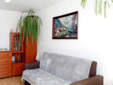 Mieszkanie Oleśnica