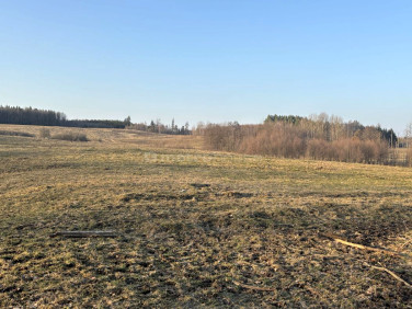 Działka rolna Tłokowo