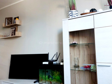 Mieszkanie Oleśnica