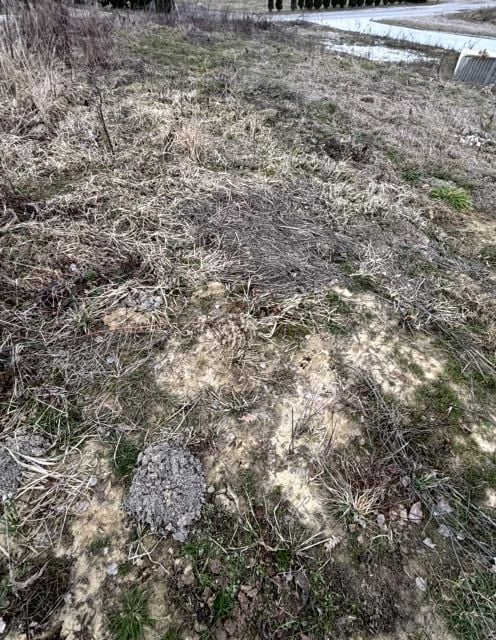 Zdjęcie 3
