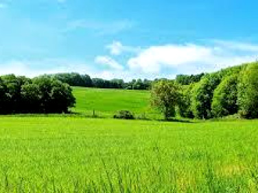 Działka budowlana Rączna