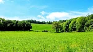 Działka budowlana Rączna