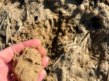 Działka Ziemiełowice