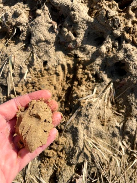 Działka Ziemiełowice