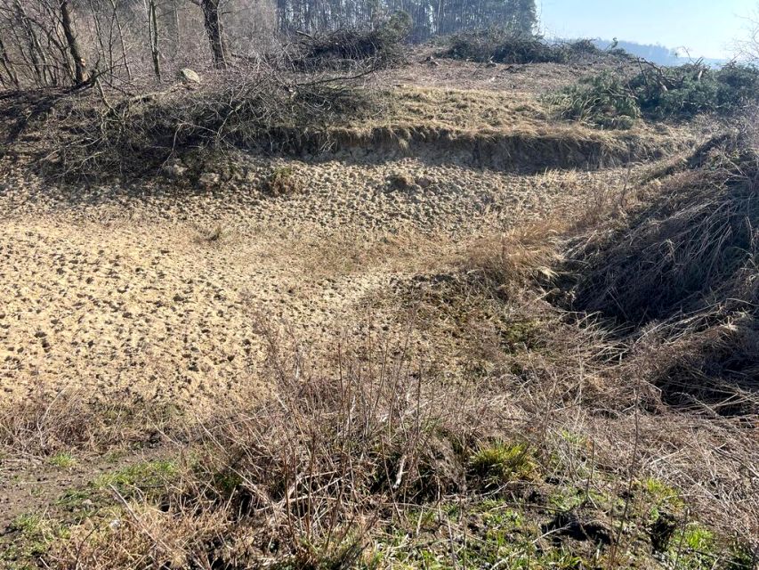 Działka Ziemiełowice