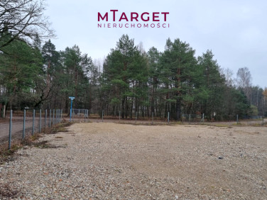 Działka leśna Wołomin