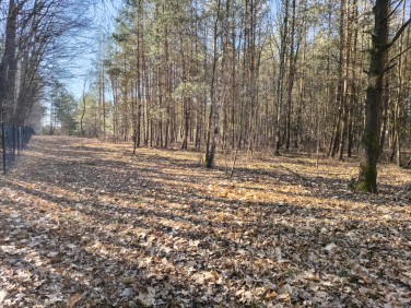 Działka budowlana Sokolniki-Las