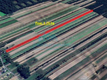 Działka rolna Niżankowice