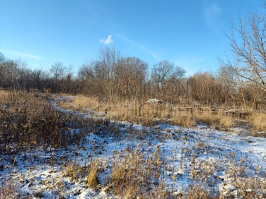 Działka usługowa Marki