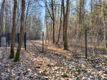 Działka nad jeziorem