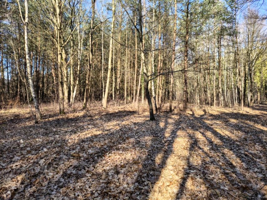 Działka Sokolniki-Las