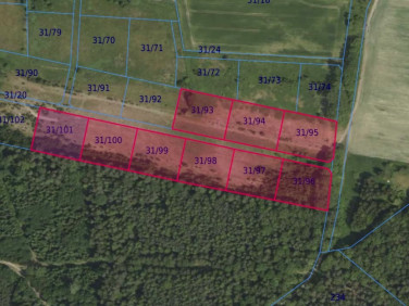 Działka leśna Grabowno Wielkie