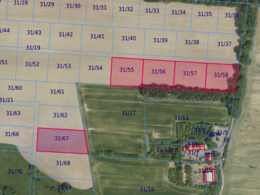 Działka leśna Grabowno Wielkie