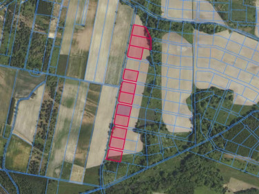 Działka rolna Grabowno Wielkie