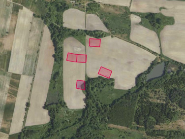 Działka rolna Grabowno Wielkie