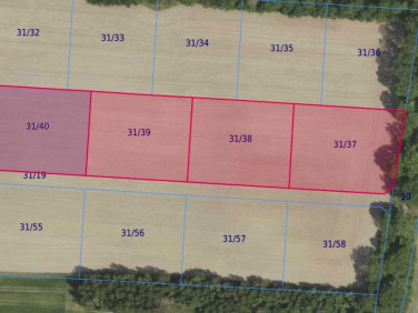 Działka leśna Grabowno Wielkie