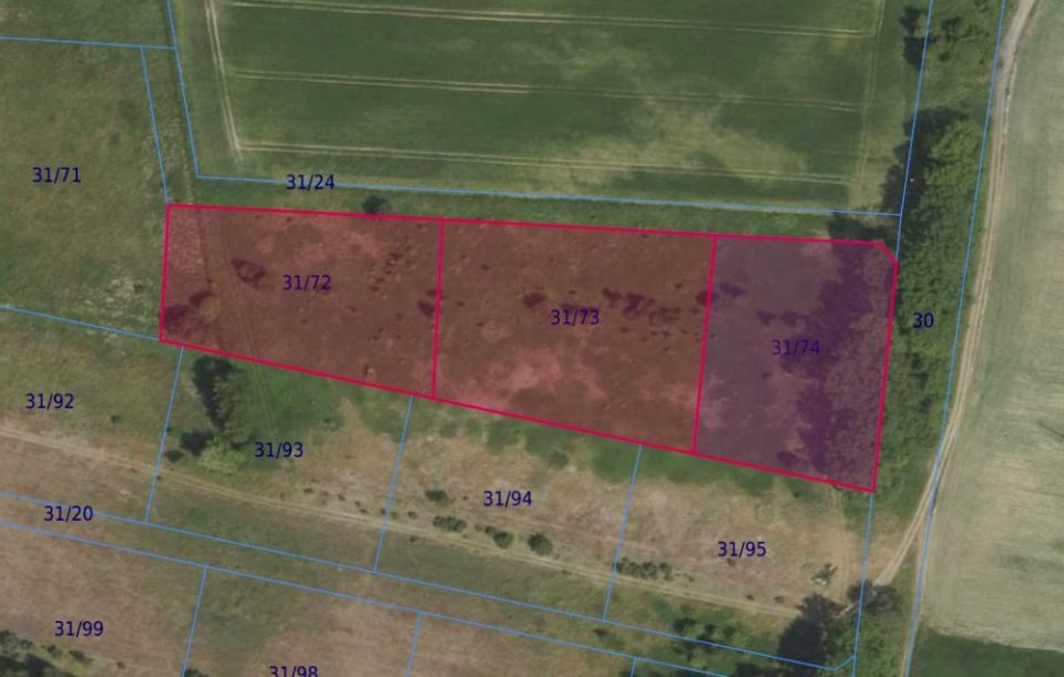 Działka leśna Grabowno Wielkie