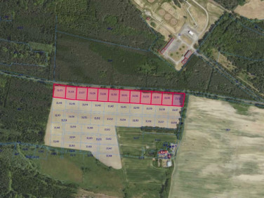 Działka leśna Grabowno Wielkie