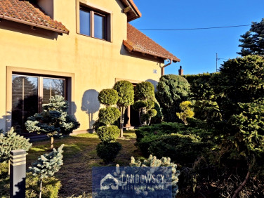 Dom Pinczyn sprzedaż