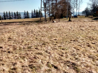 Działka budowlana Wysoka