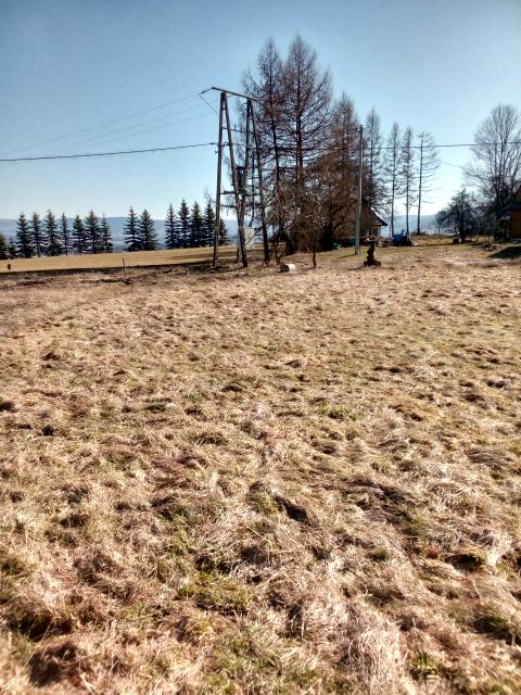 Działka budowlana Wysoka