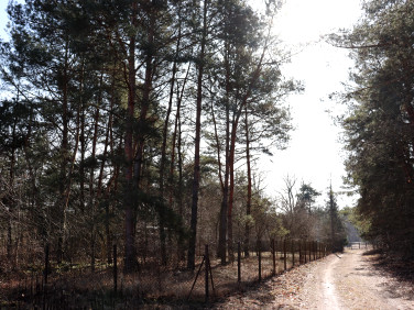 Działka budowlana sprzedam