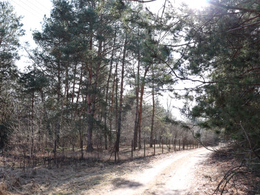 Działka Leśniakowizna