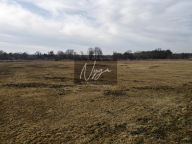 Działka inwestycyjna Sękowo