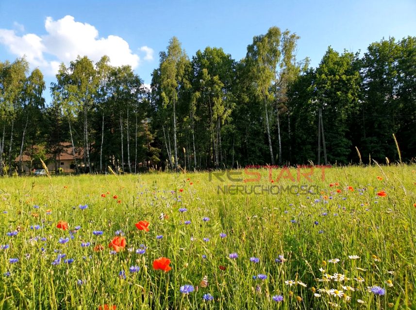Działka Adamów-Parcel