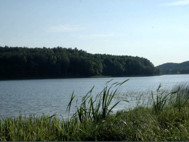 Działka rekreacyjna ruda