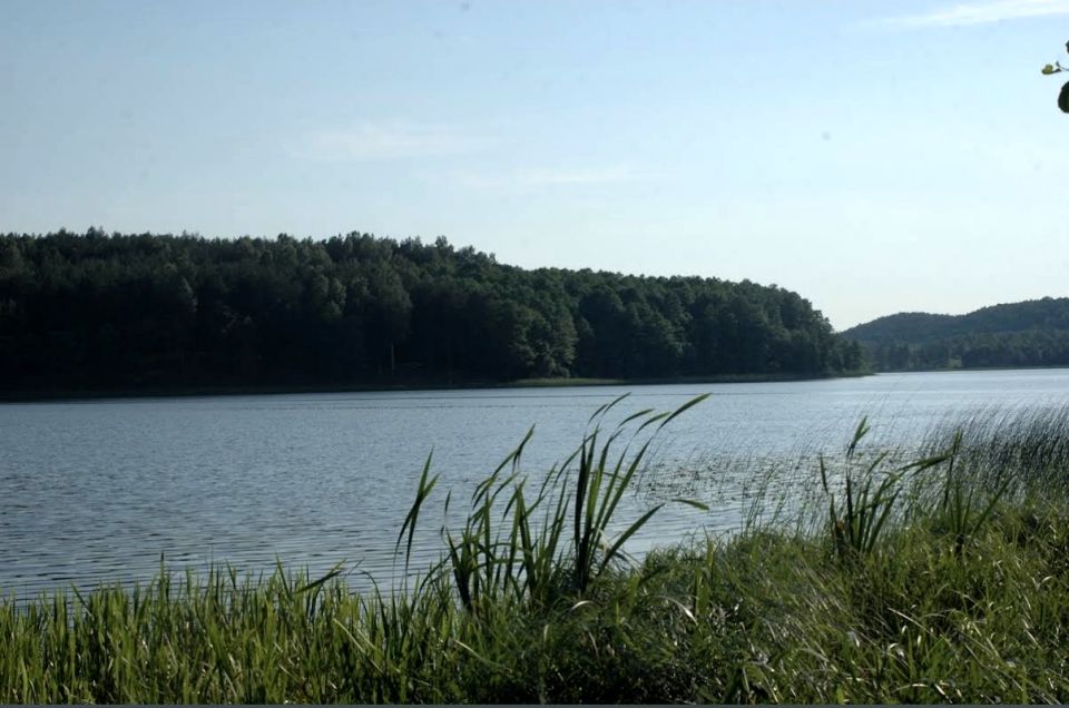 Działka rekreacyjna ruda