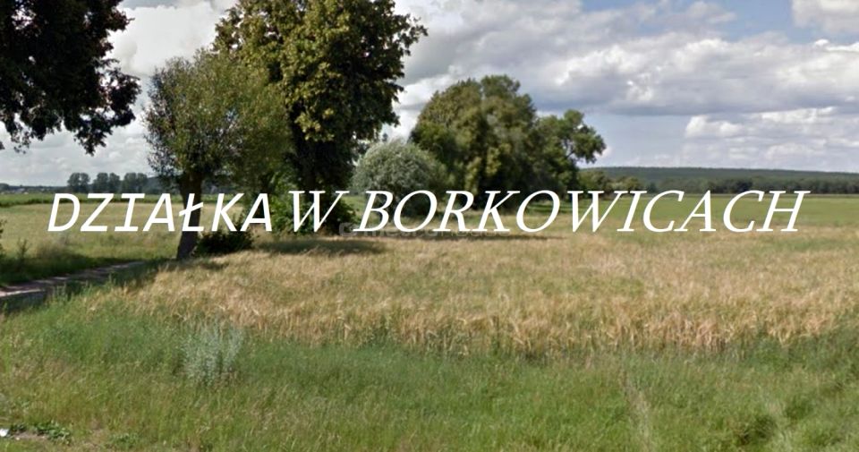 Działka budowlana Borkowice